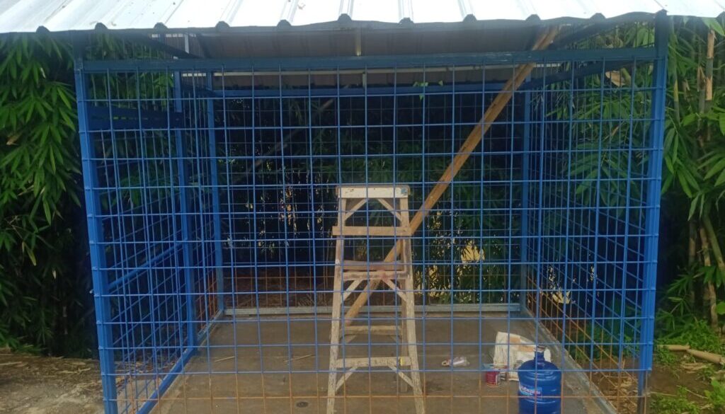 IMG-20250103-WA0024