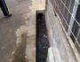 IMG-20250121-WA0026