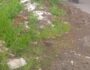 IMG-20250121-WA0094