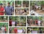 IMG-20250126-WA0141