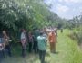 IMG-20250205-WA0098