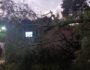 IMG-20250301-WA0038