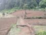 IMG-20250520-WA0083