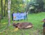 IMG-20250607-WA0034