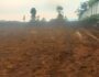 IMG-20250614-WA0003