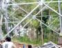 IMG-20250614-WA0033