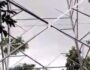 IMG-20250618-WA0061