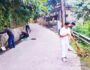 IMG-20250620-WA0017
