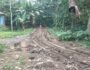 IMG-20250620-WA0050