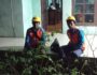 IMG-20250727-WA0043