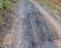 IMG-20250802-WA0025~2